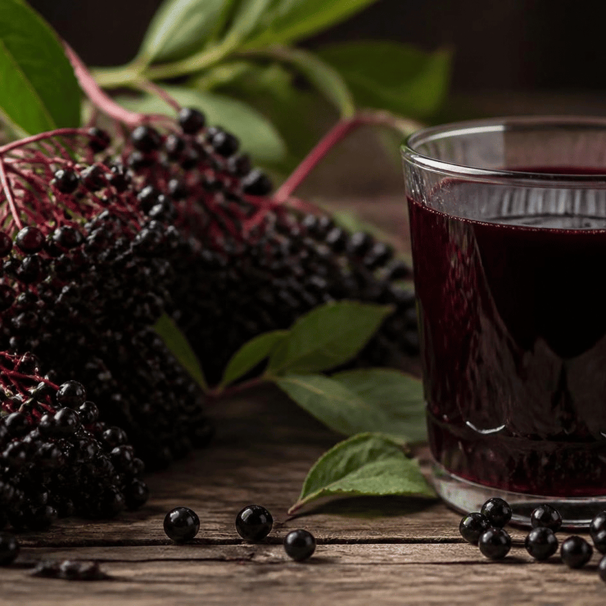 Saft der Holunderbeere
