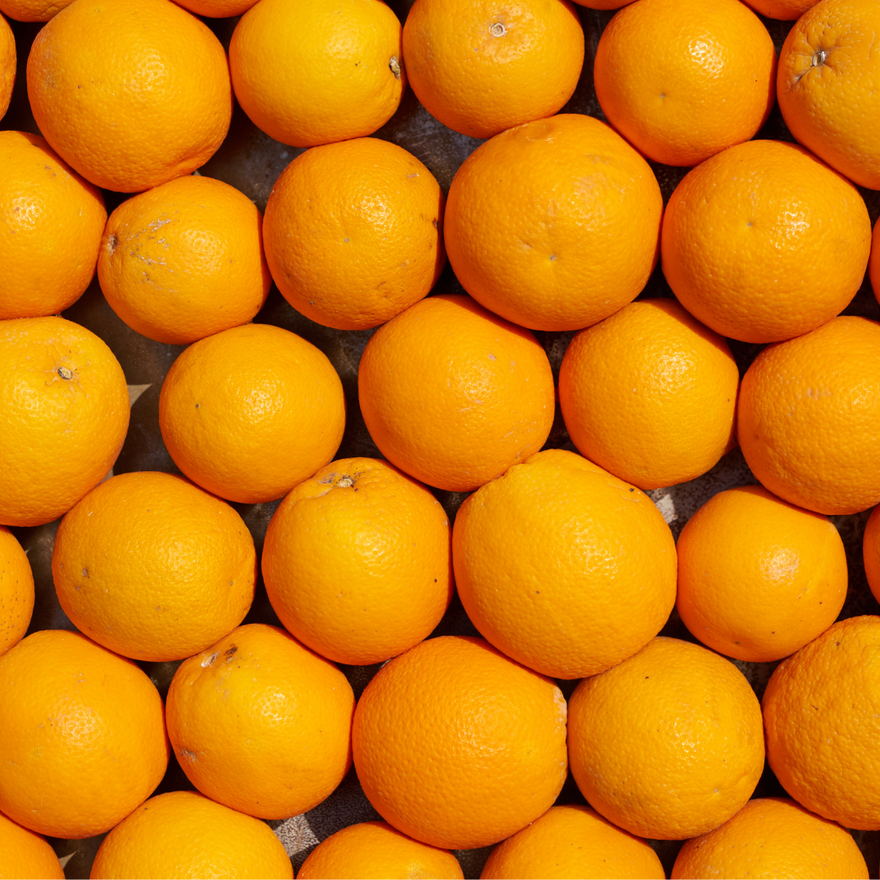 Orangen-Prosecco-Gelee