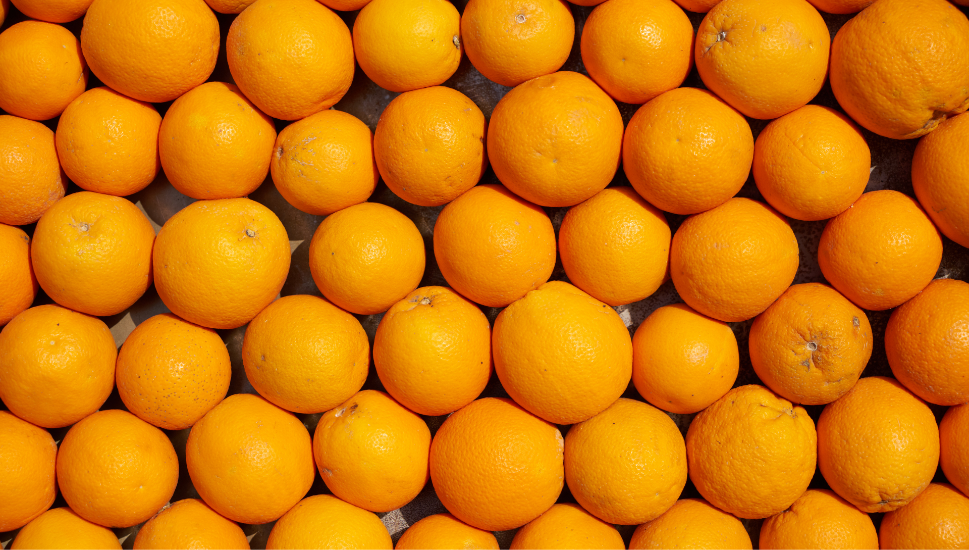 Orangen-Prosecco-Gelee