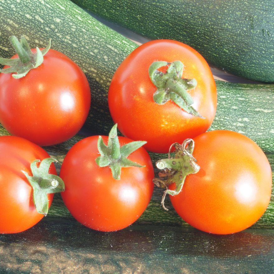 Tomaten-Zucchini-Chutney