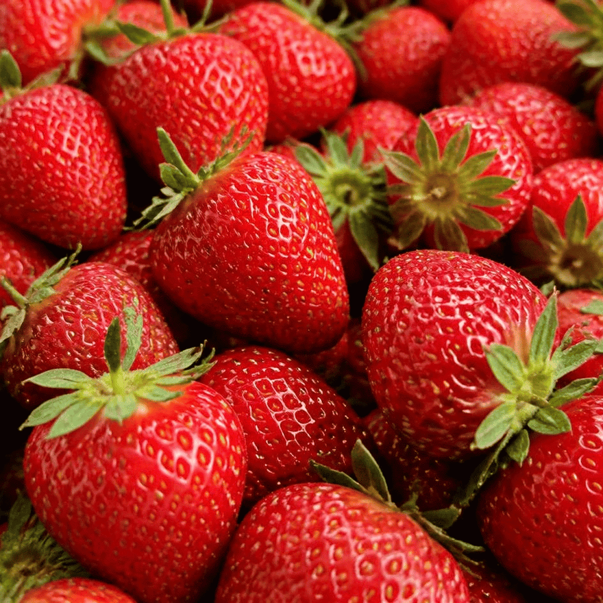 Erdbeer-Mousse im WECK Sturzglas mit frischen Erdbeeren garniert.