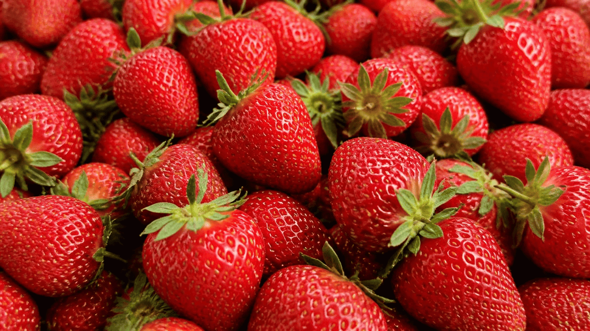 Erdbeer-Mousse im WECK Sturzglas mit frischen Erdbeeren garniert.