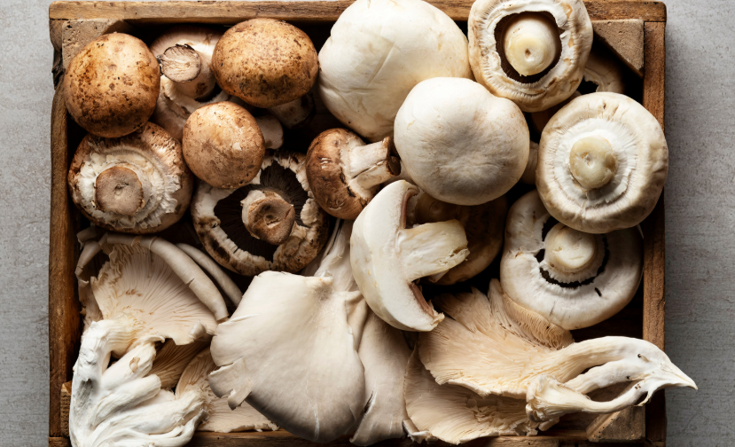 Champignon-Pesto
