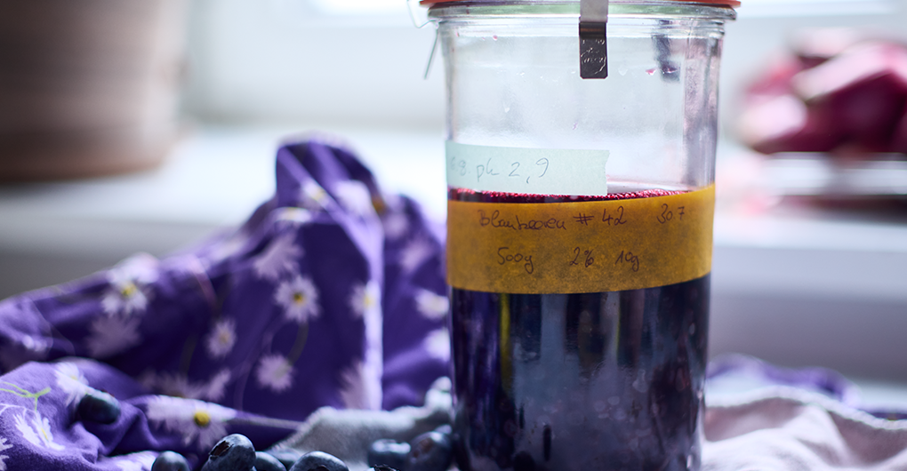 Fermentierte Hedielbeeren